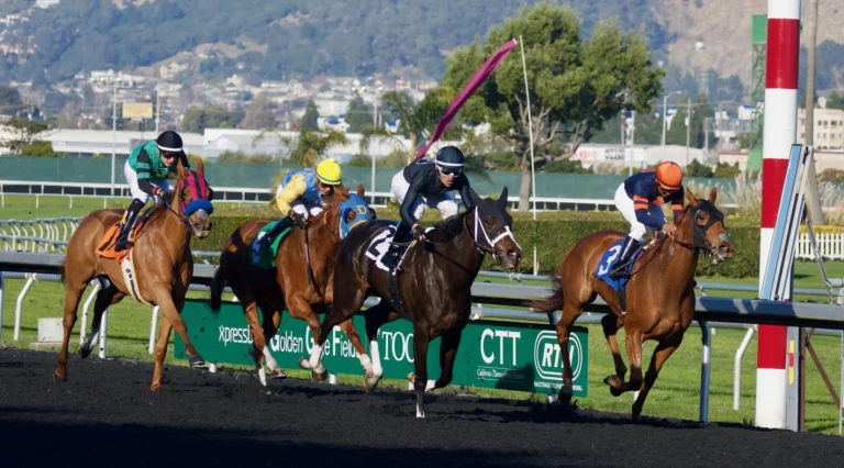 King Argentine berpeluang raih Triple Crown Indonesia di Derby mendatang