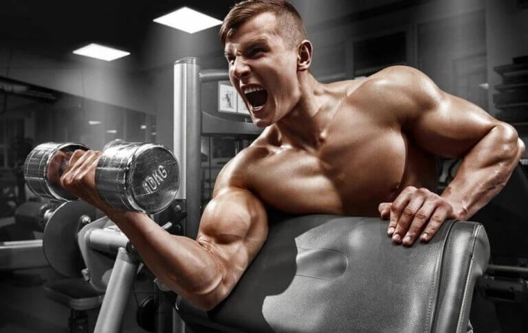 Apa Itu Superset dan Bagaimana Superset Membantu Membentuk Otot