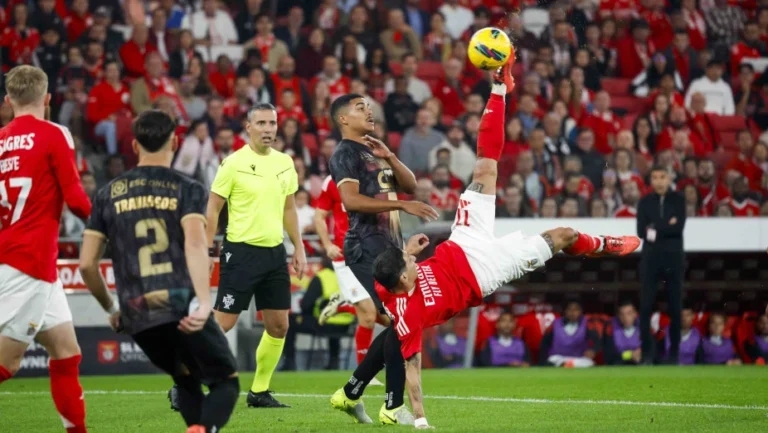 Estrela Amadora vs Benfica: Portugal Championship Prediction (17.08.2025)