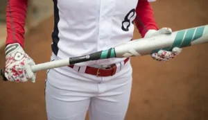 Softball bat